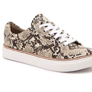 Steve Madden Santana Snakeskin Sneaker. Women’s Size 6.5M